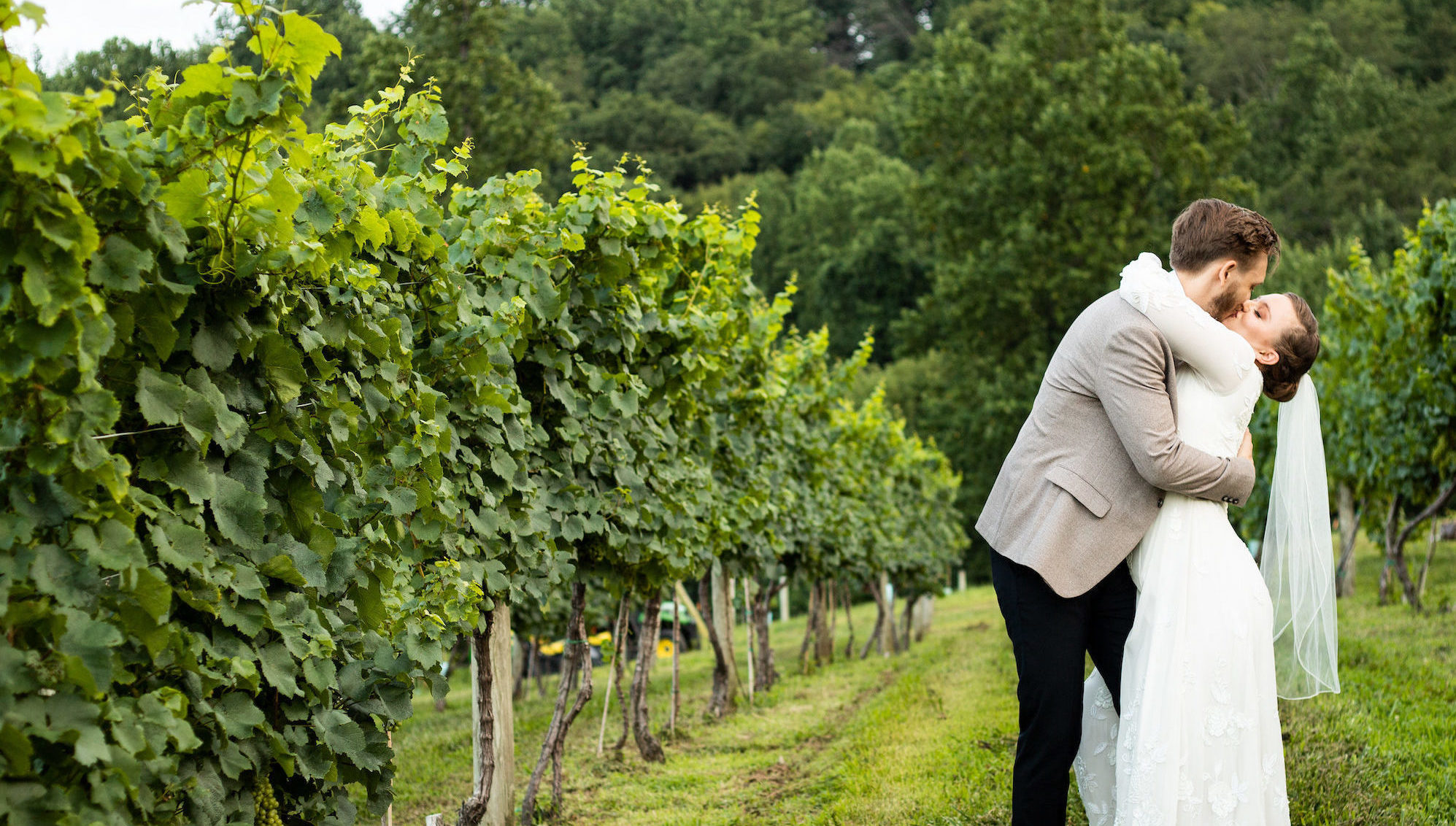 couple kissing in vineyard