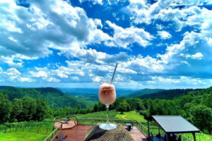 frozen drink in wine glass on railing